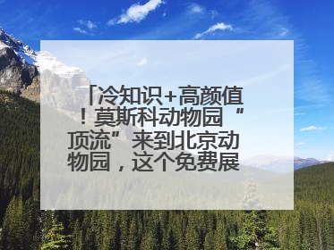 冷知识+高颜值！莫斯科动物园“顶流”来到北京动物园，这个免费展览，遛娃拍照两不误！